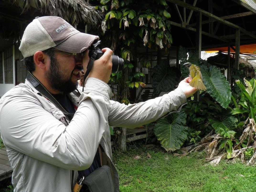 Mauricio Ugarte Lewis