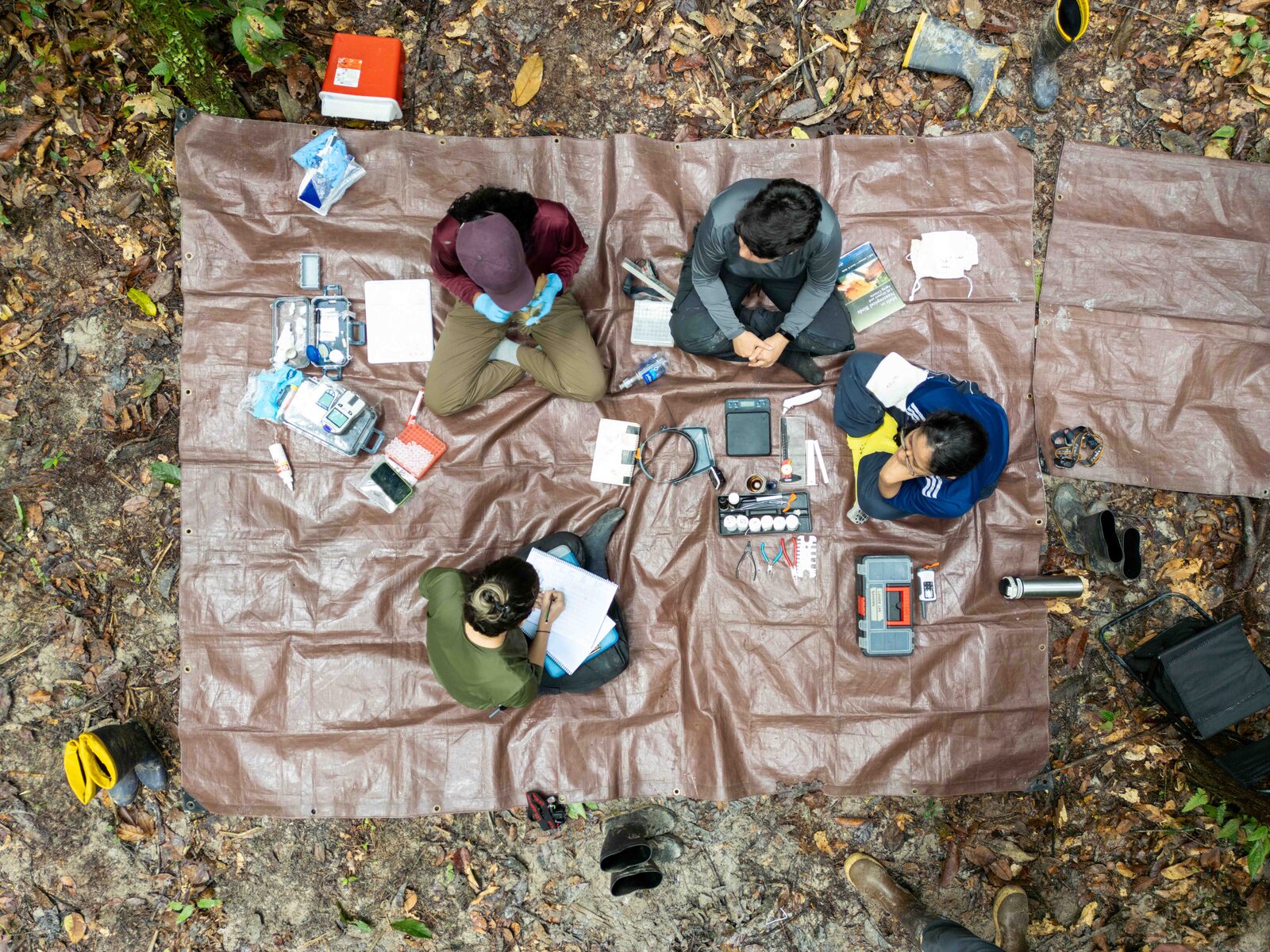 Students and researchers working together at a forest field station